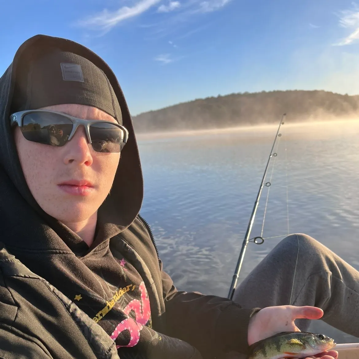 Yellow perch caught on Fishbrain
