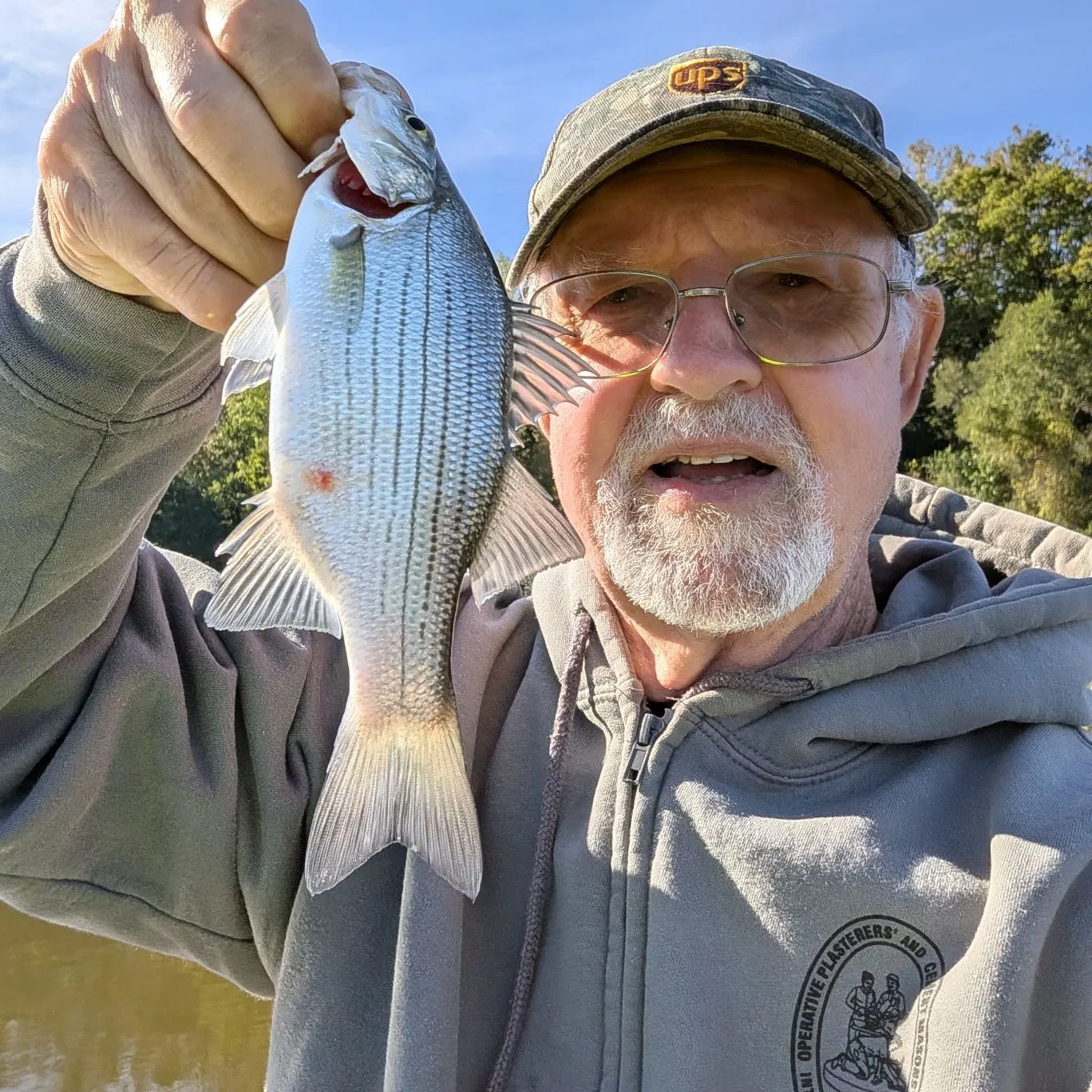 White bass caught on Fishbrain
