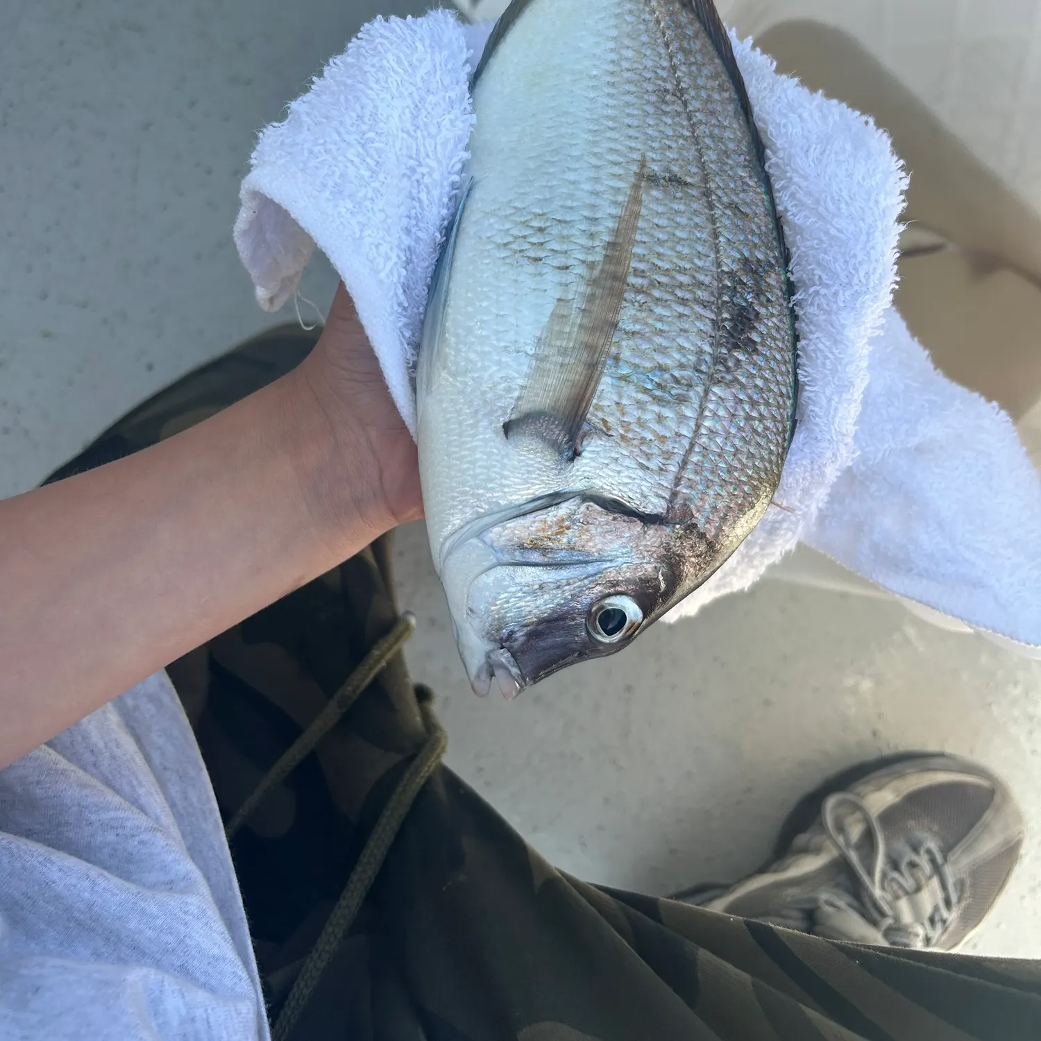catch