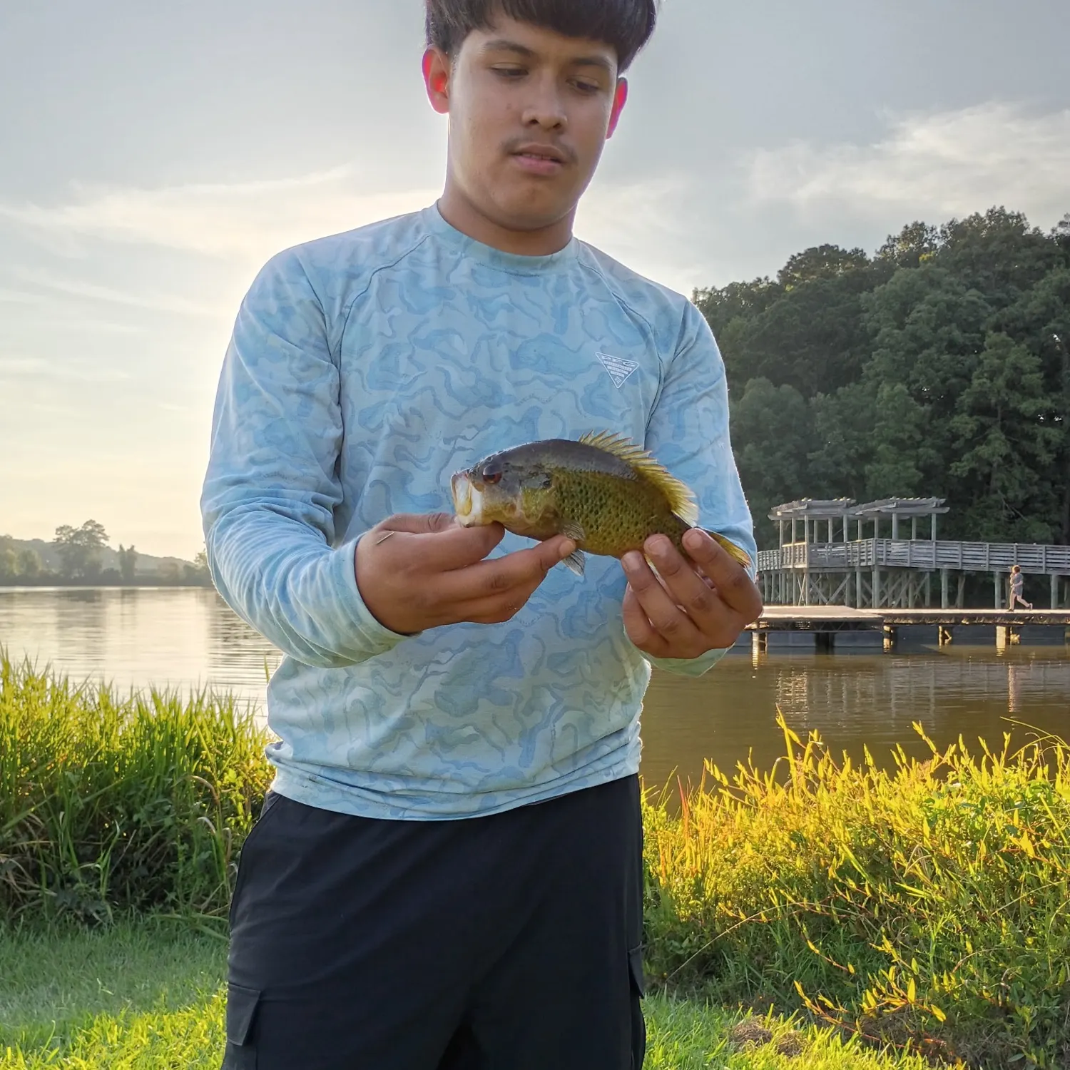 Rock bass caught on Fishbrain