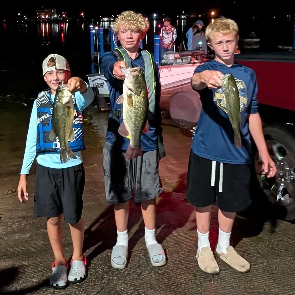 Largemouth bass caught on Fishbrain