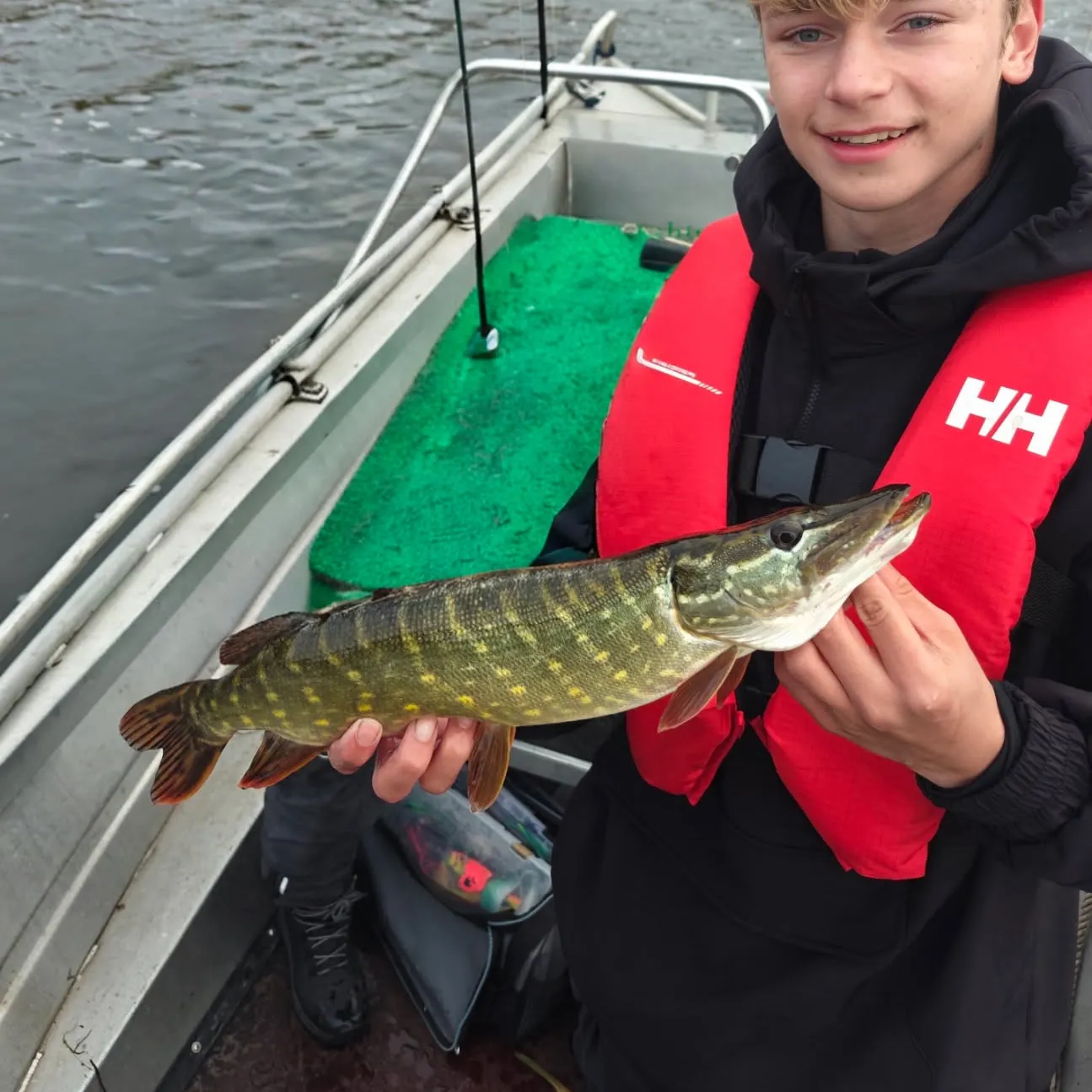 Northern pike caught on Fishbrain