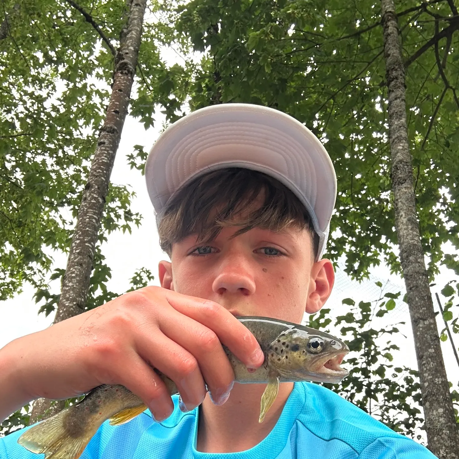 Brown trout caught on Fishbrain