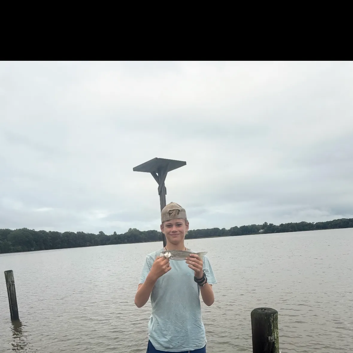 Striped bass caught on Fishbrain