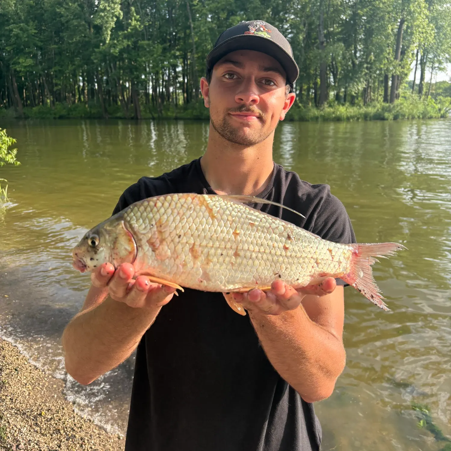 The most recent Quillback catches on Fishbrain