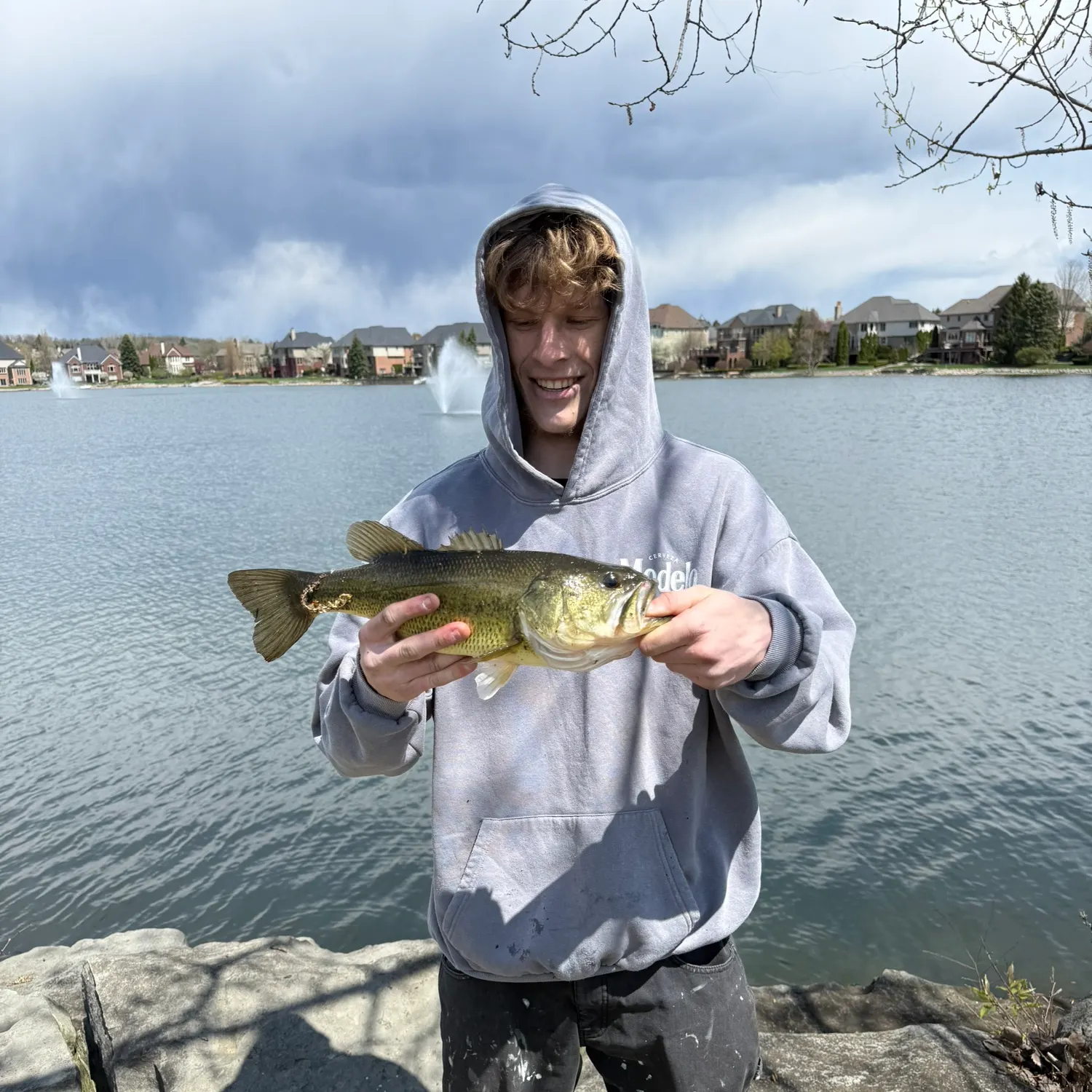The most recent Largemouth bass catches on Fishbrain