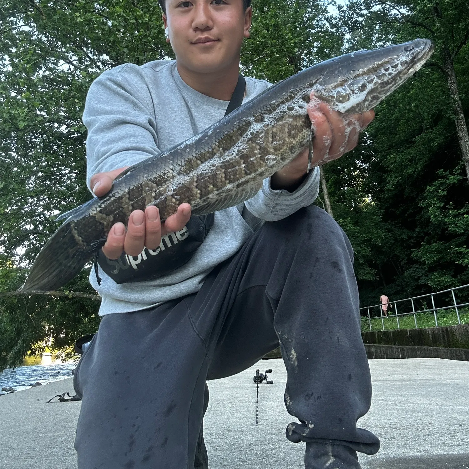 catch