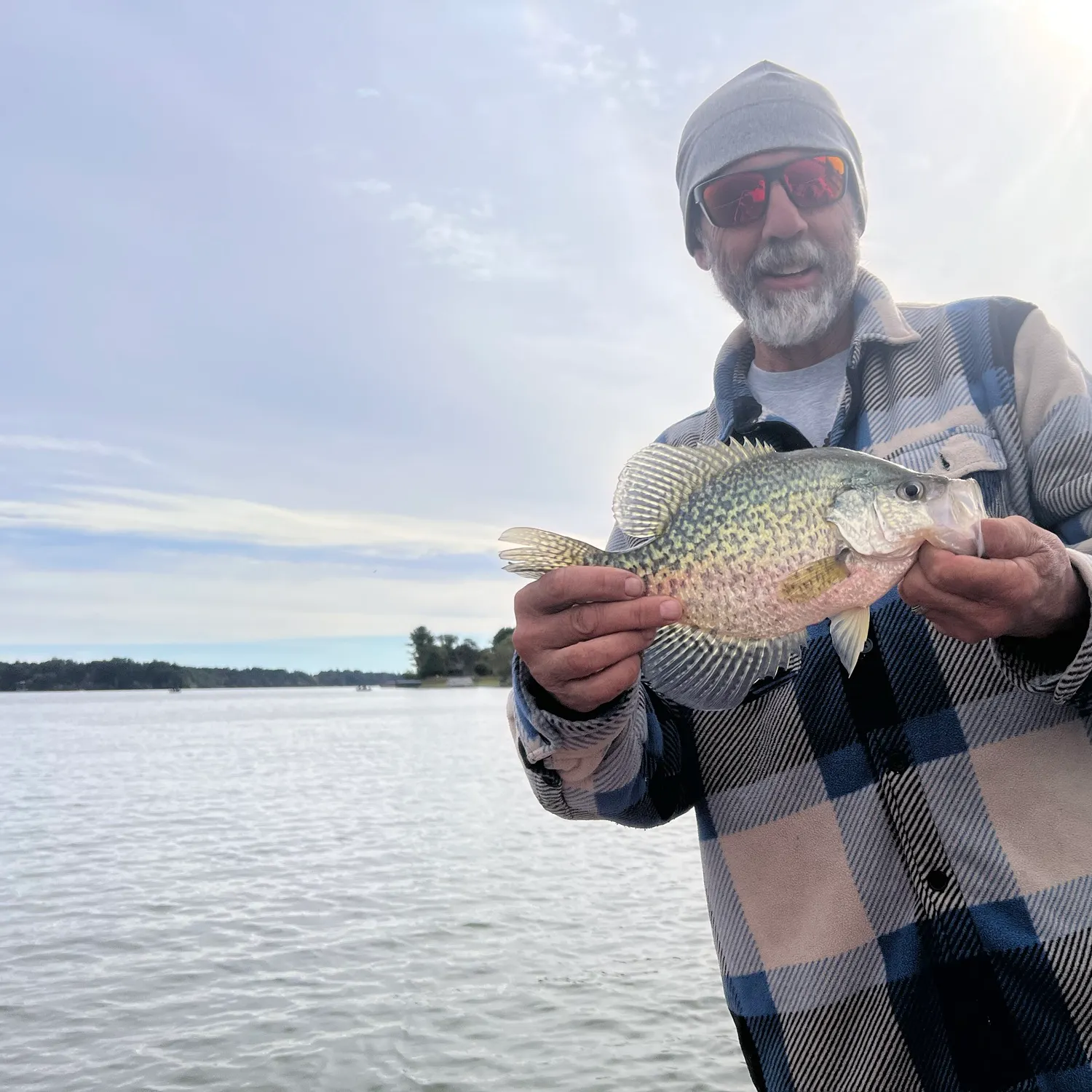 Black crappie caught on Fishbrain