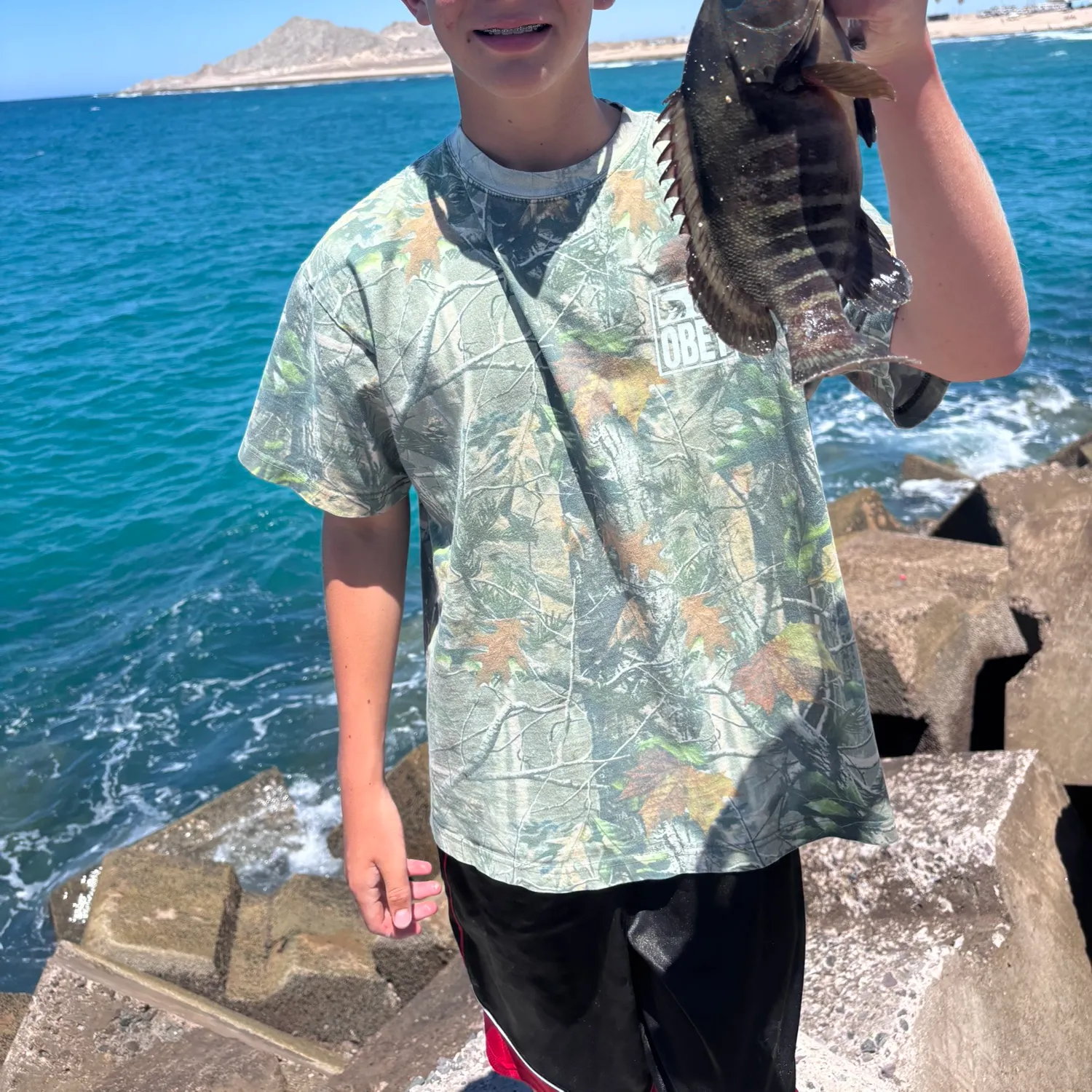 The most recent Pacific graysby grouper catches on Fishbrain