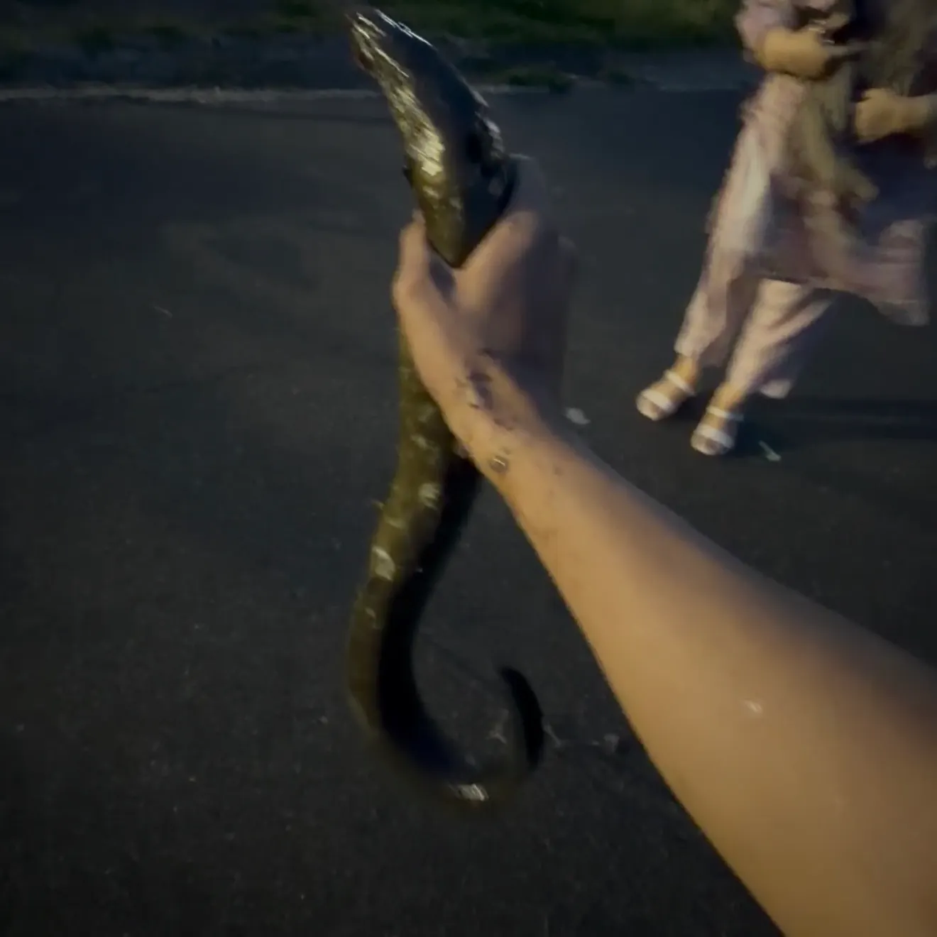 catch