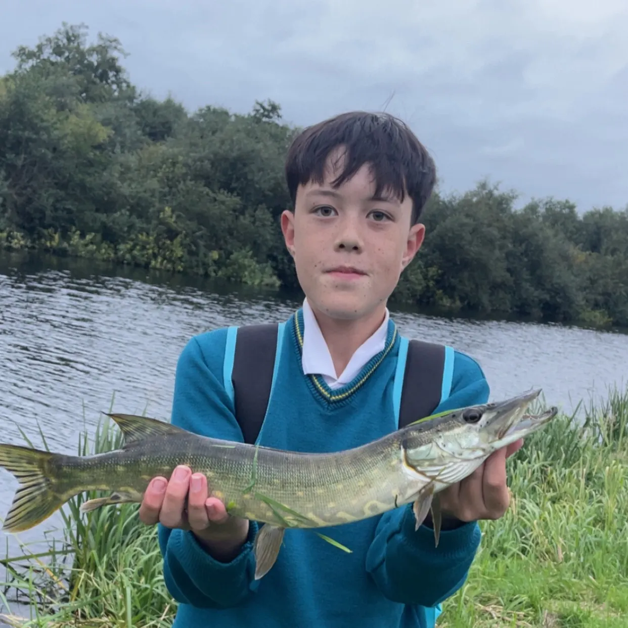 Northern pike caught on Fishbrain