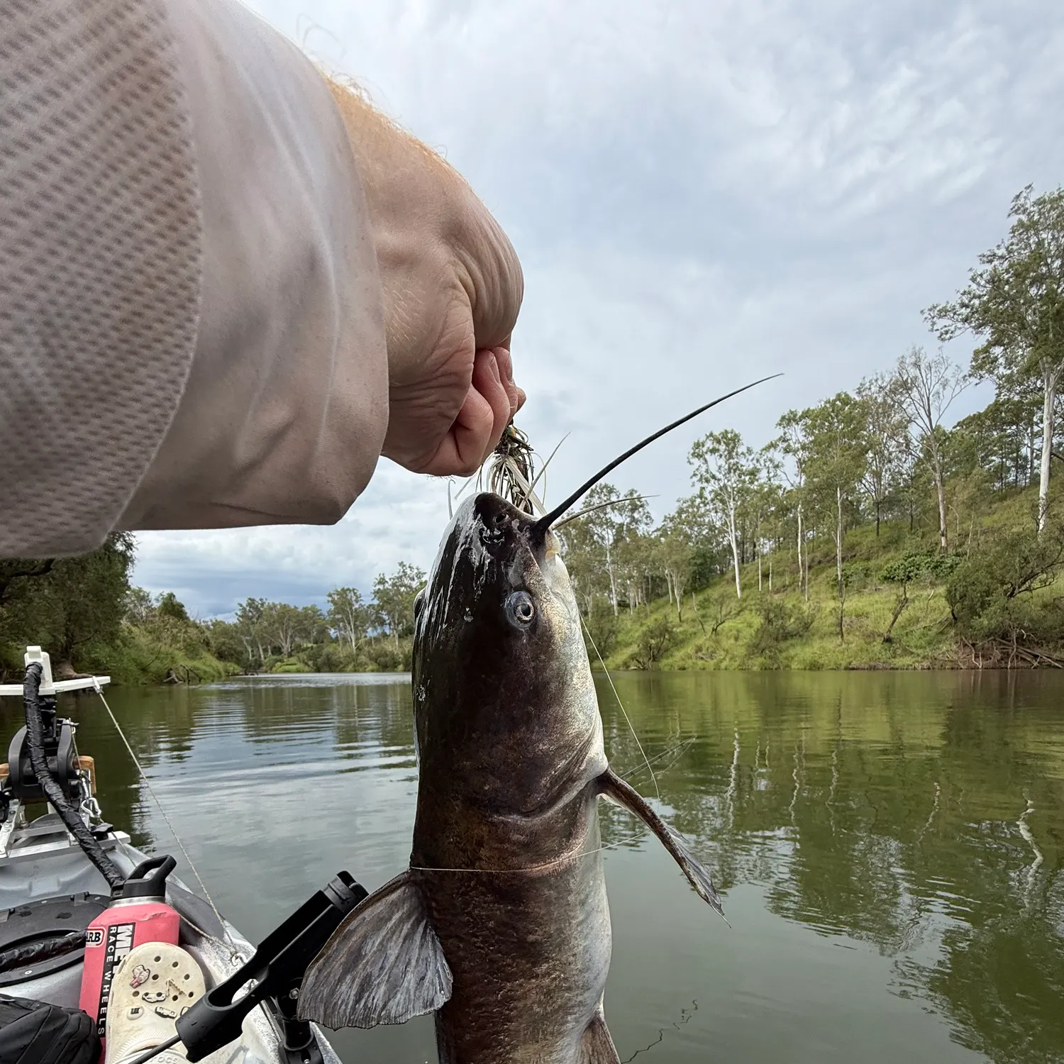 The most recent Blue salmon catfish catches on Fishbrain