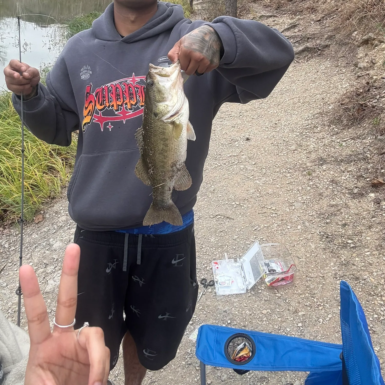 The most recent Largemouth bass catches on Fishbrain