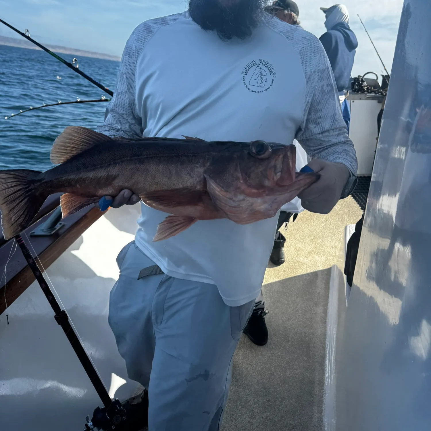 The most recent Bocaccio rockfish catches on Fishbrain