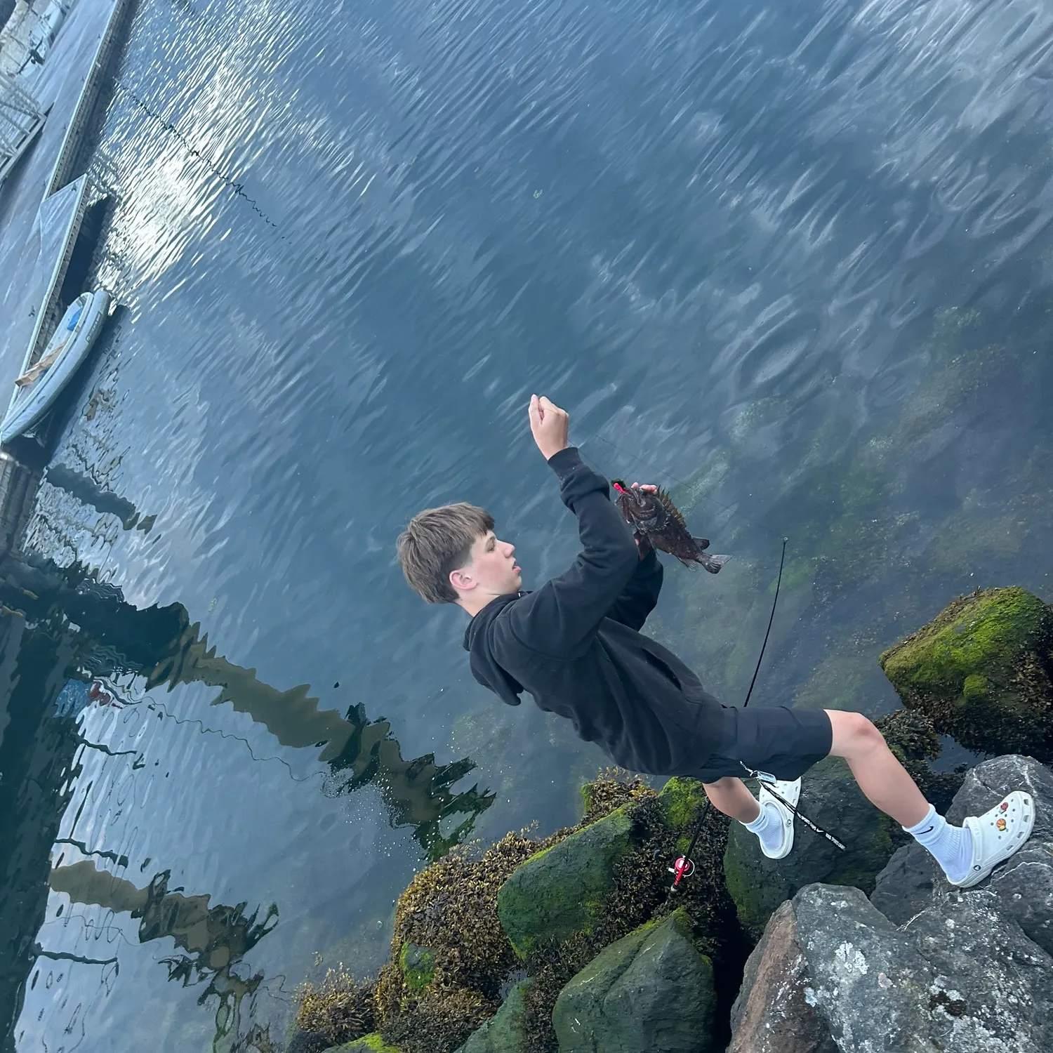 The most recent Black rockfish catches on Fishbrain