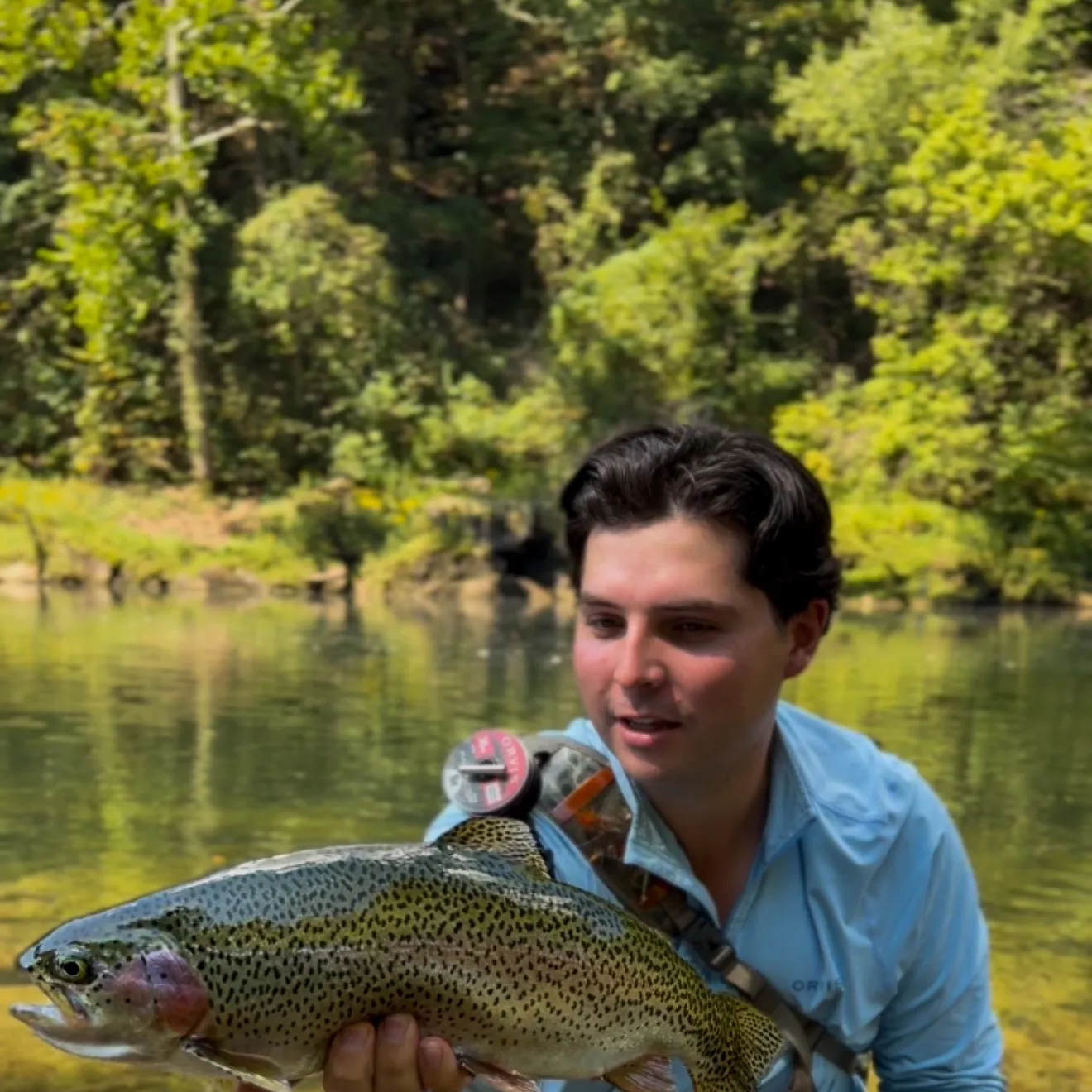 Rainbow trout caught on Fishbrain