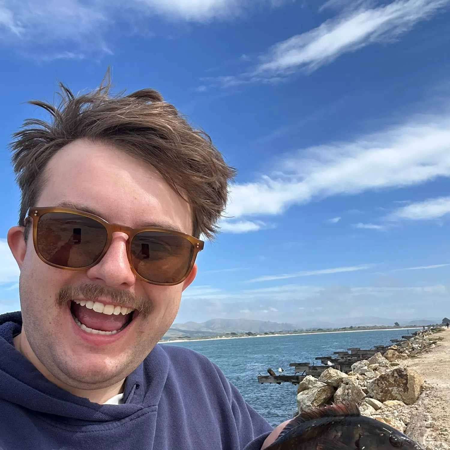 The most recent Brownspotted wrasse catches on Fishbrain