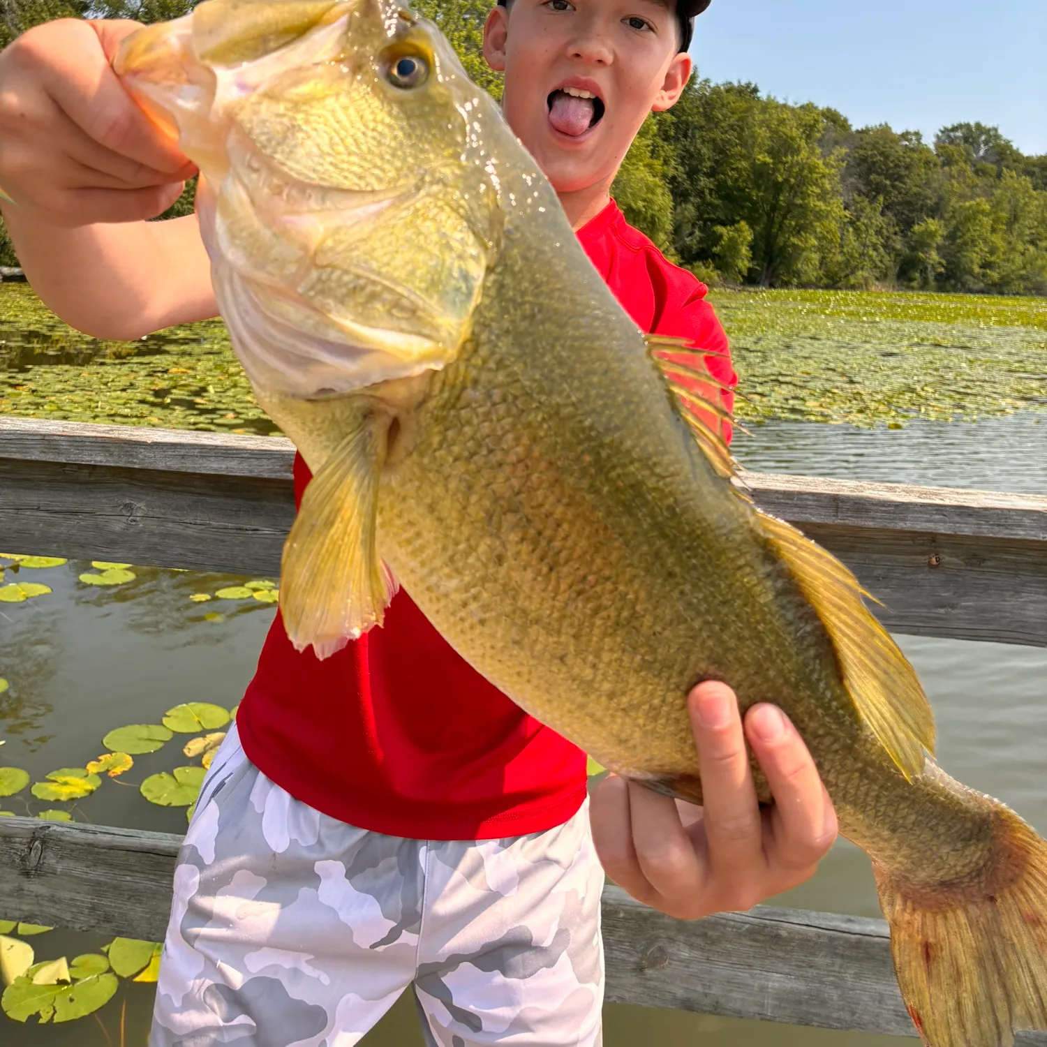 Largemouth bass caught on Fishbrain