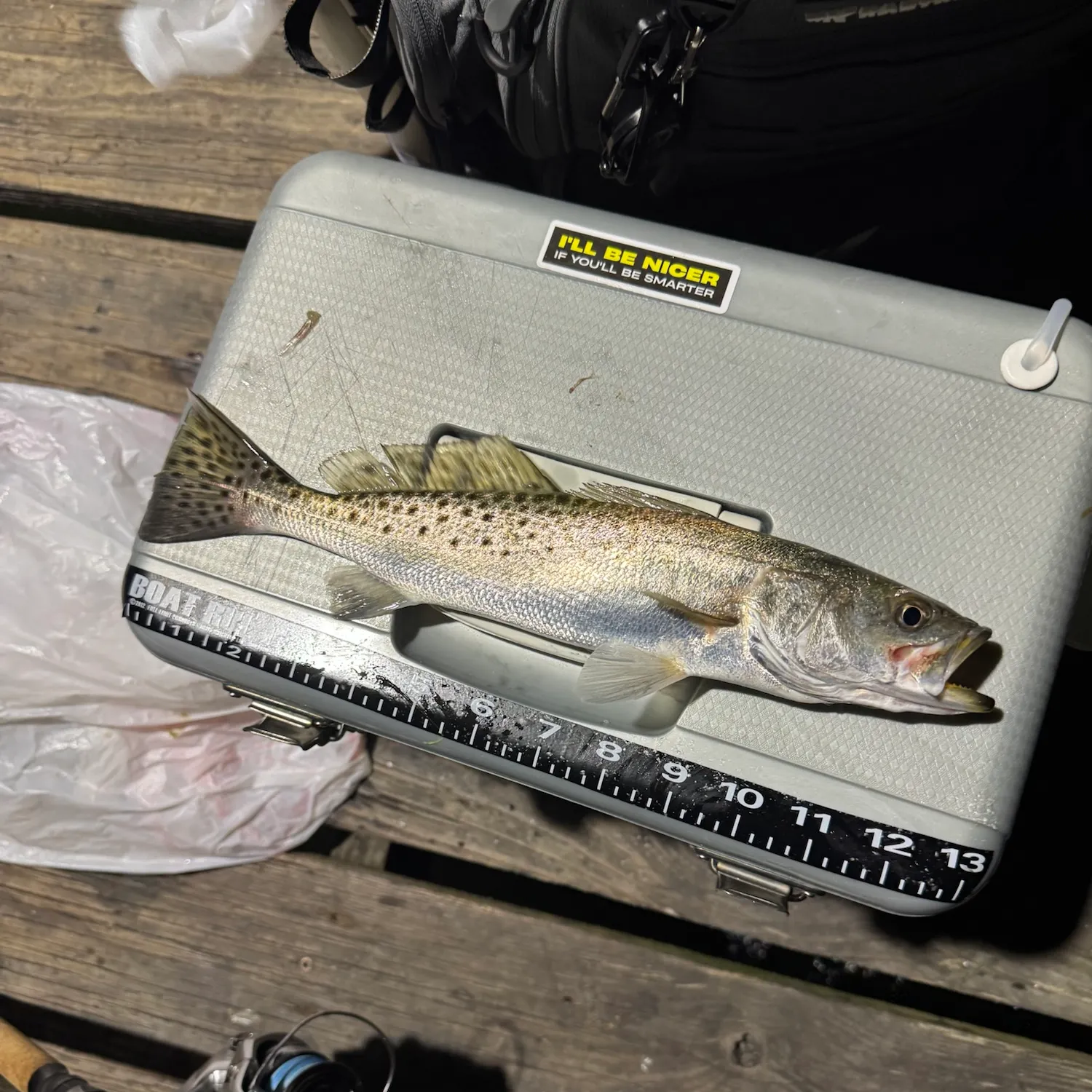 Spotted seatrout caught on Fishbrain