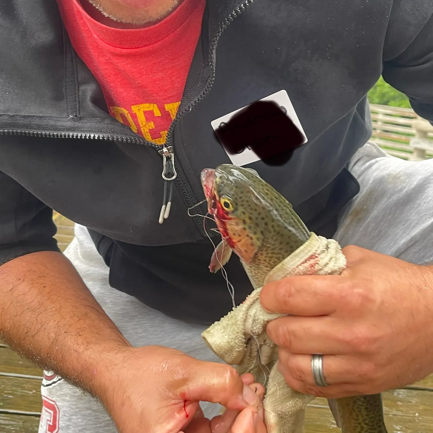 Rainbow trout caught on Fishbrain
