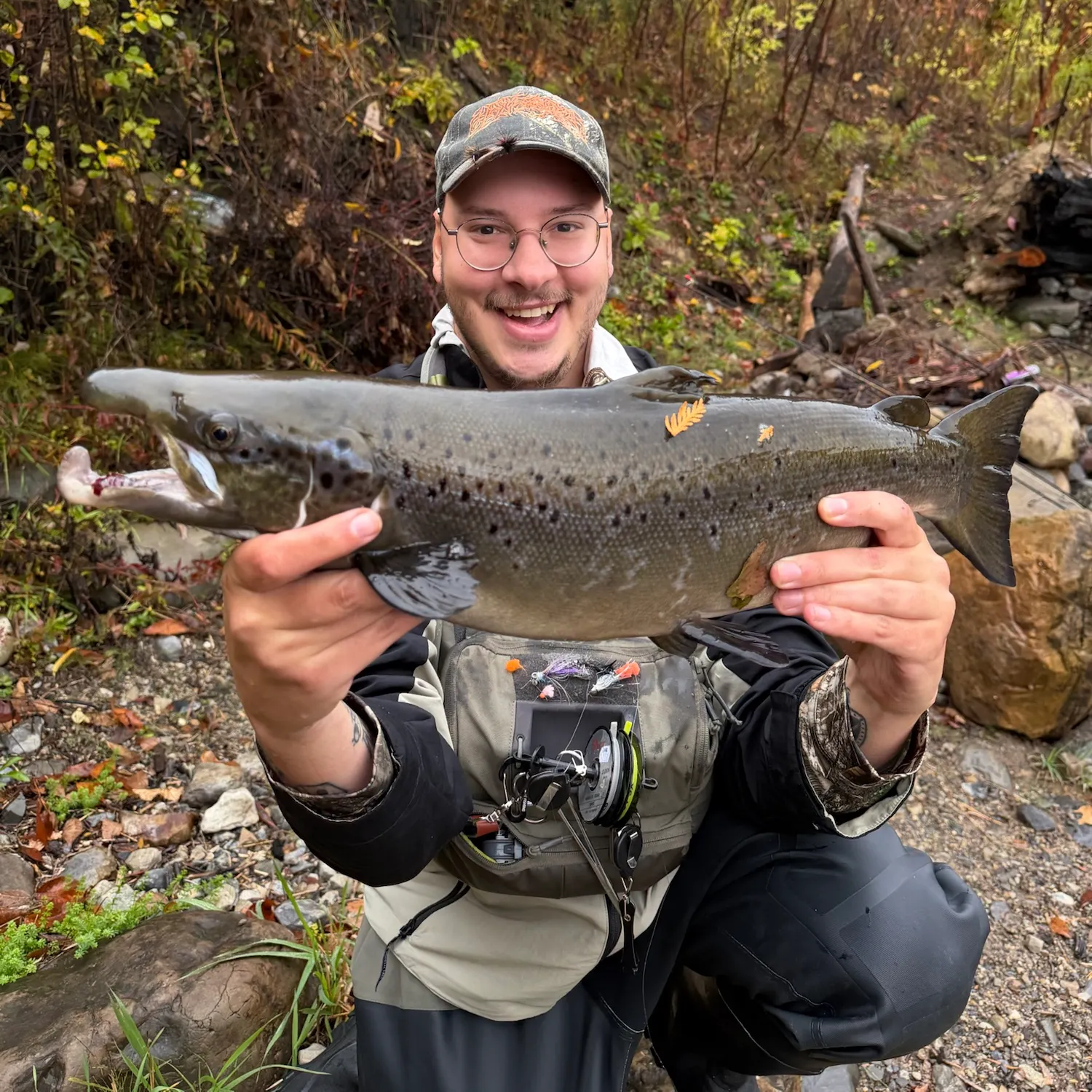 The most recent Landlocked atlantic salmon catches on Fishbrain
