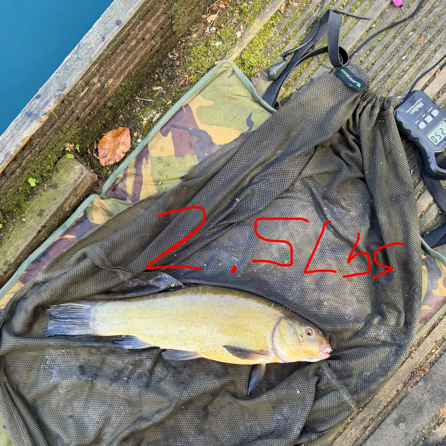 recently logged catches