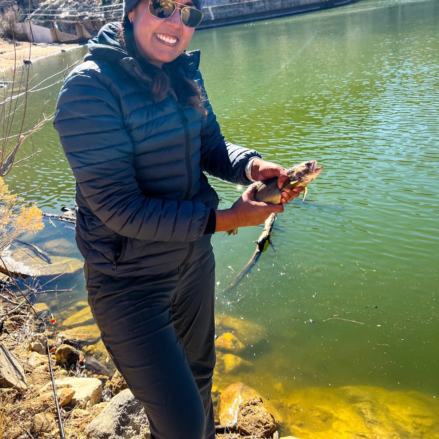 The most popular recent Gila trout catch on Fishbrain