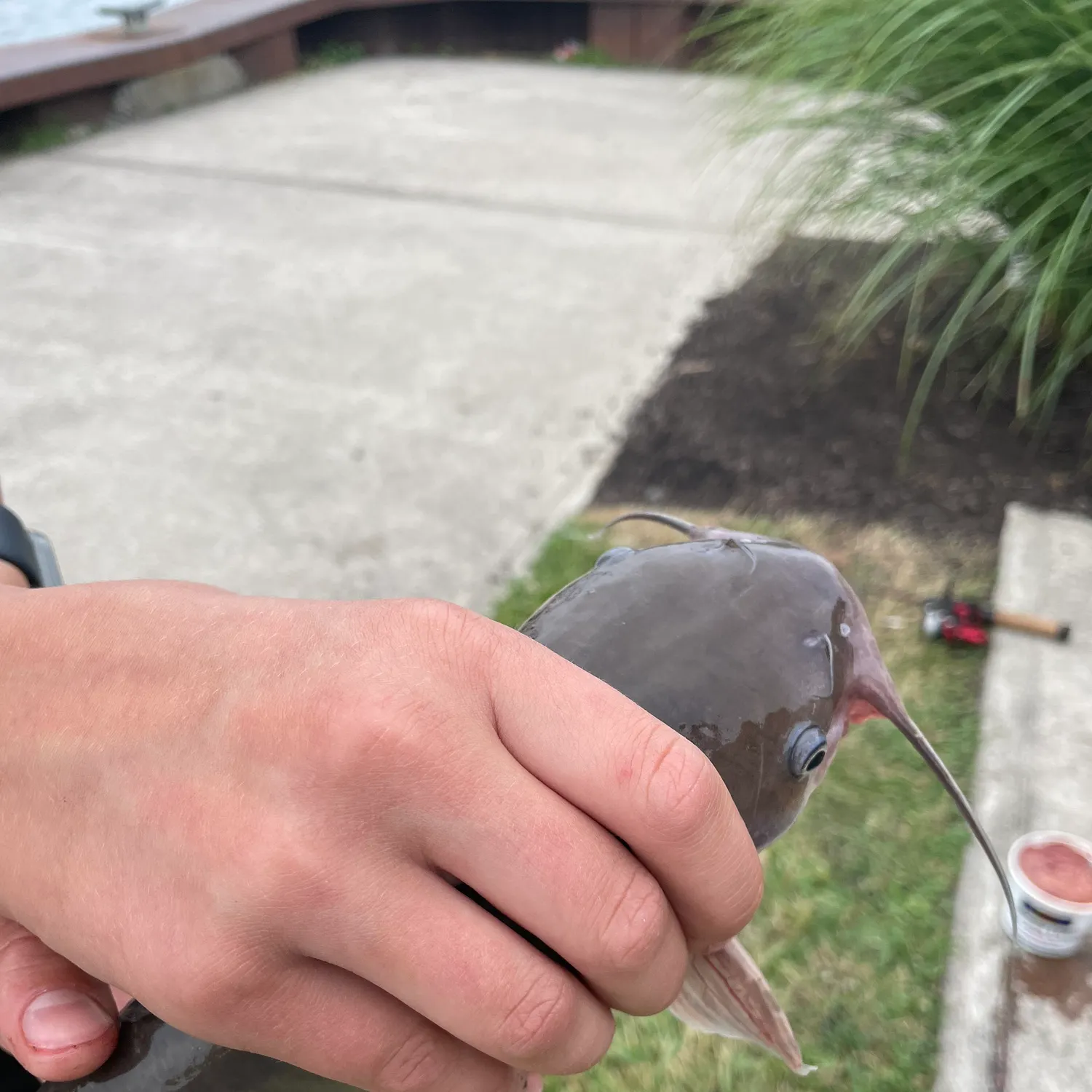 catch