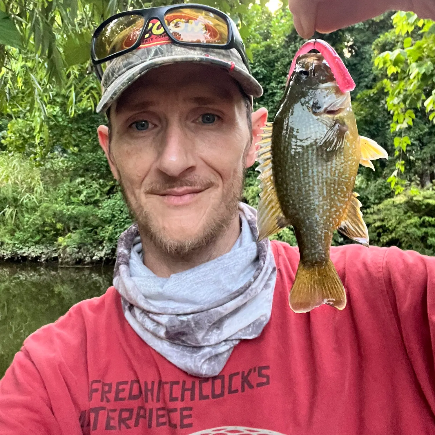 The most popular recent Green sunfish catch on Fishbrain