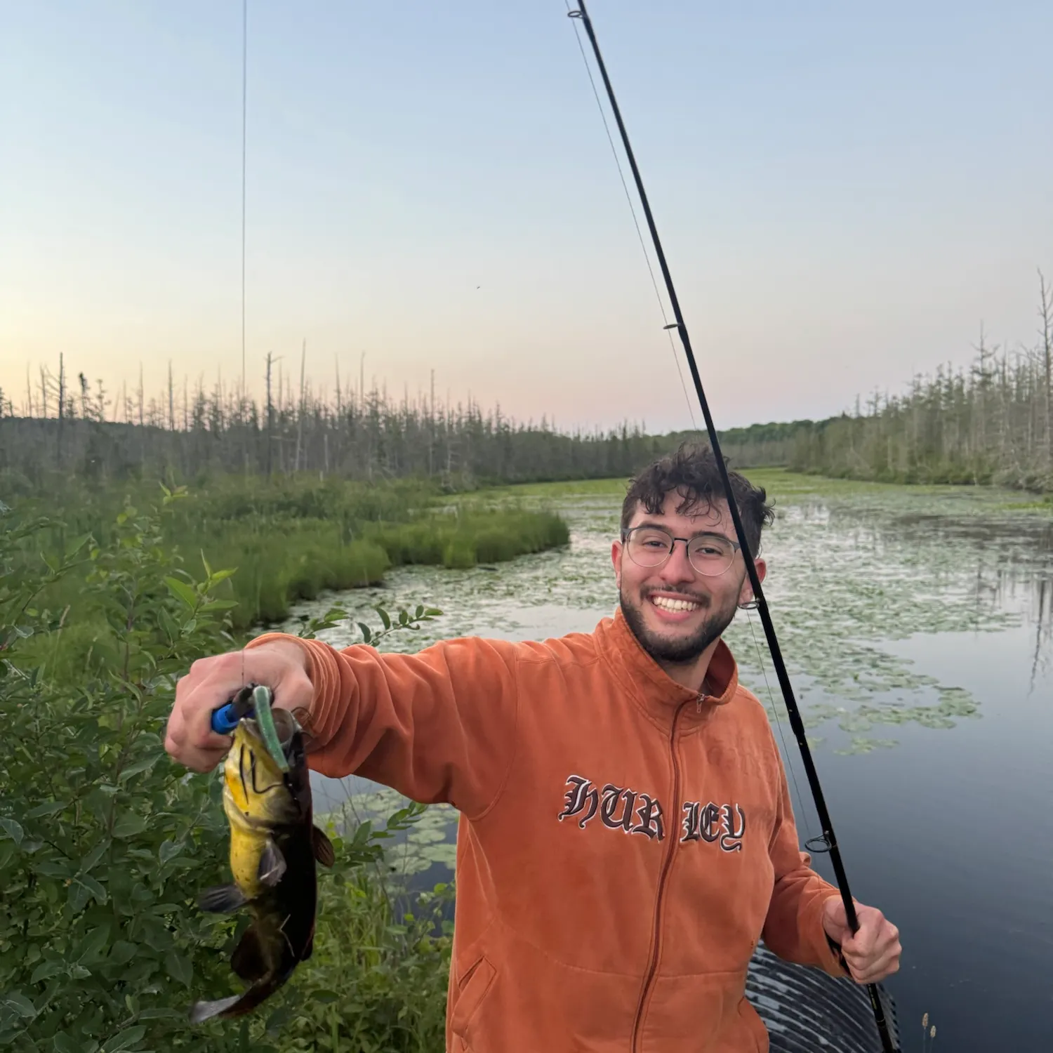 Black bullhead caught on Fishbrain