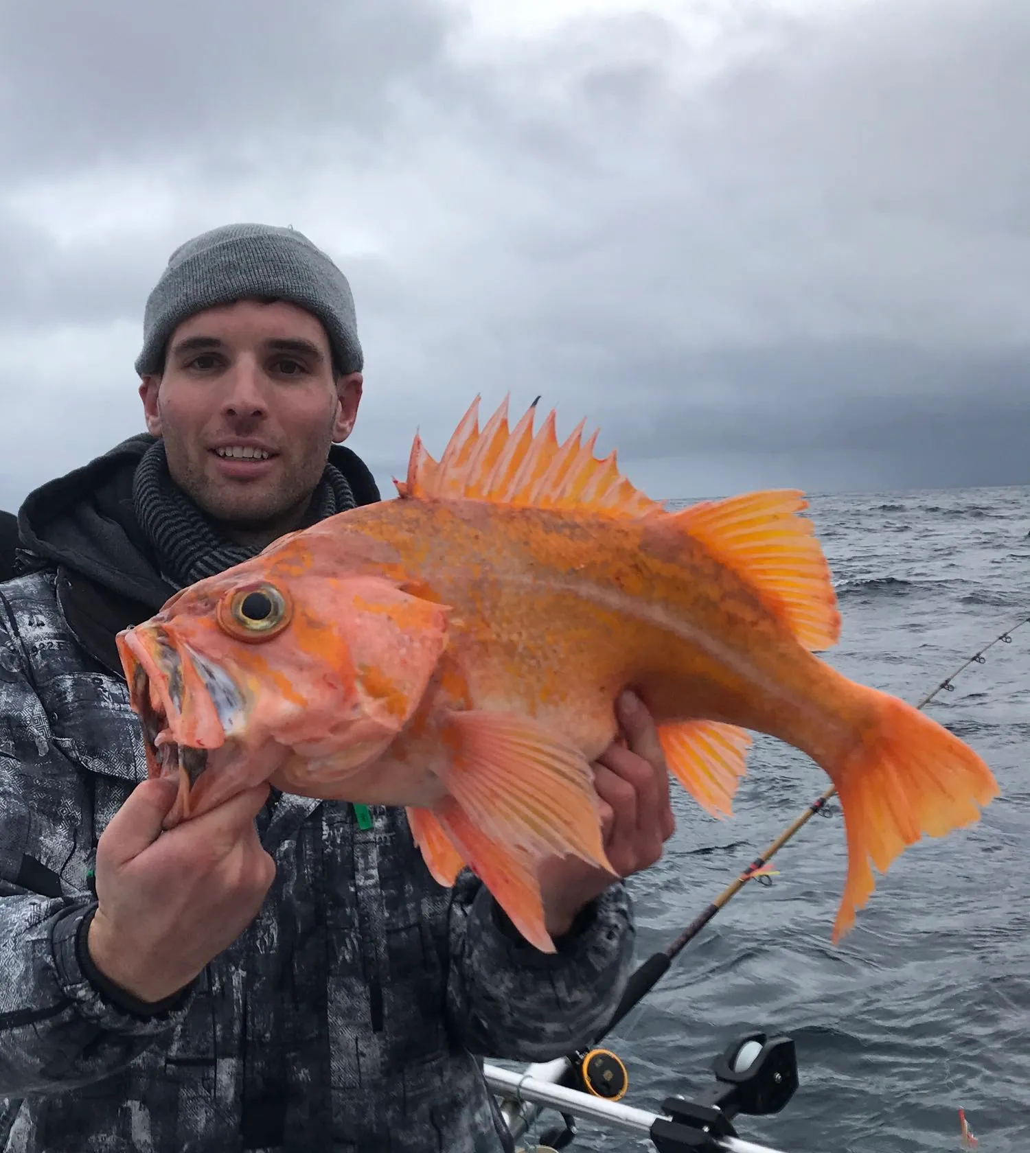 The most popular recent Canary rockfish catch on Fishbrain