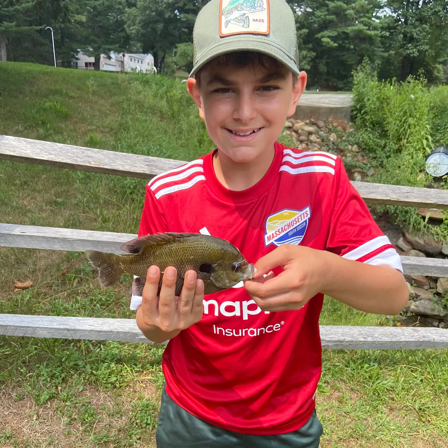 Bluegill caught on Fishbrain