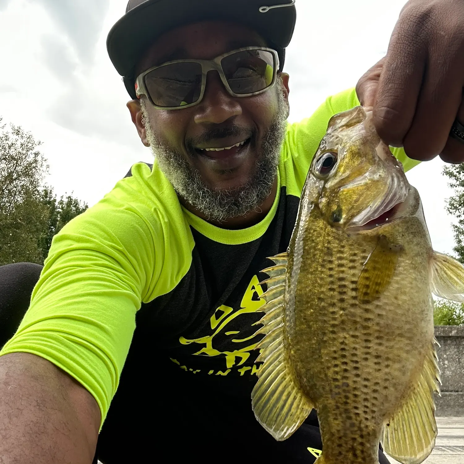Rock bass caught on Fishbrain
