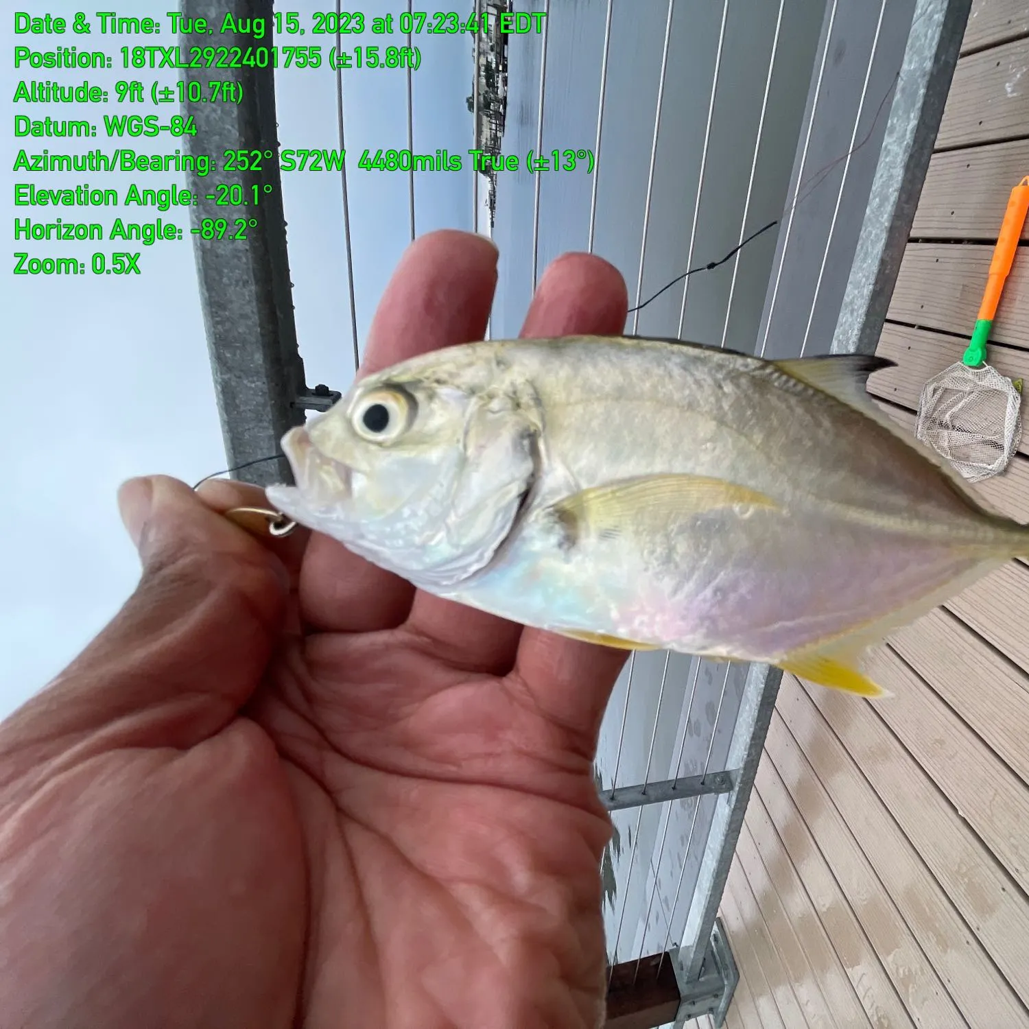 recently logged catches