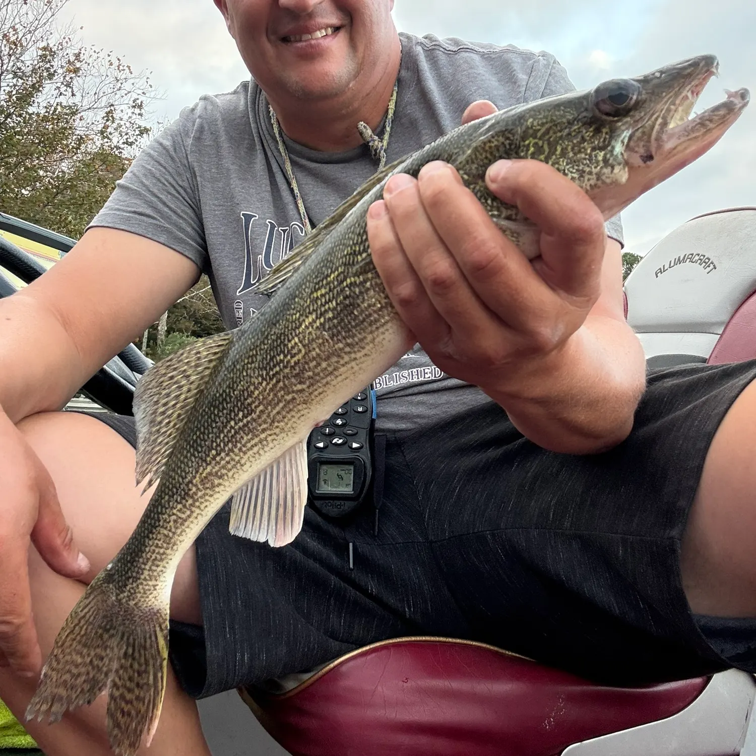 Walleye caught on Fishbrain