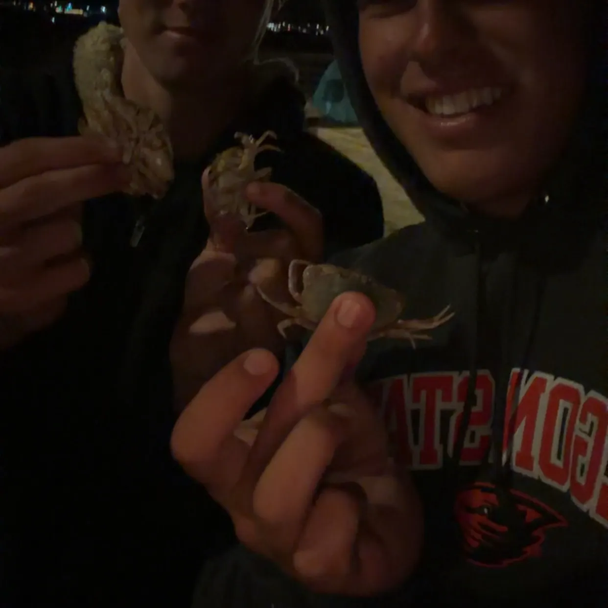 The most recent Spotted reef crab catches on Fishbrain
