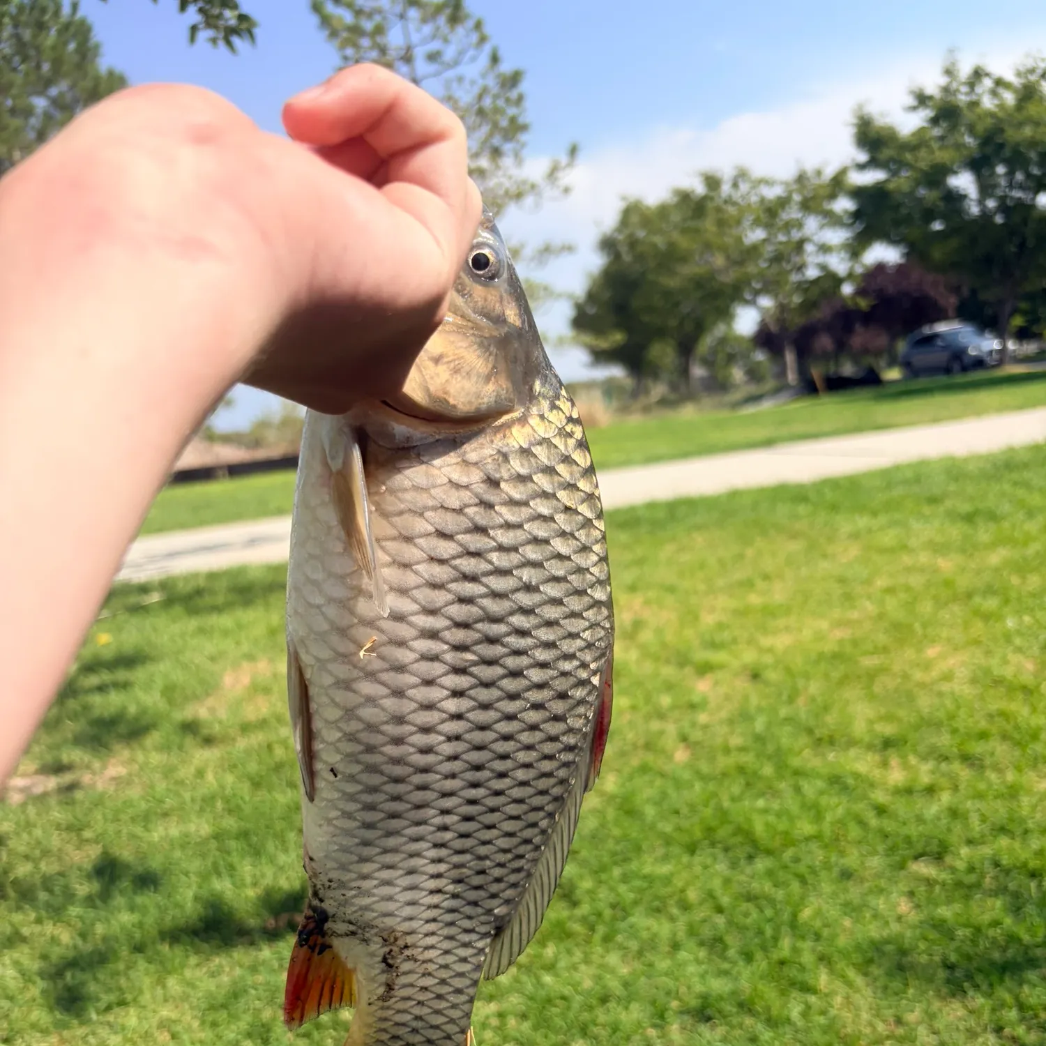 catch
