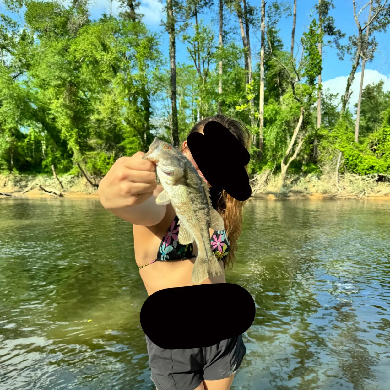 The most recent Redeye bass catches on Fishbrain