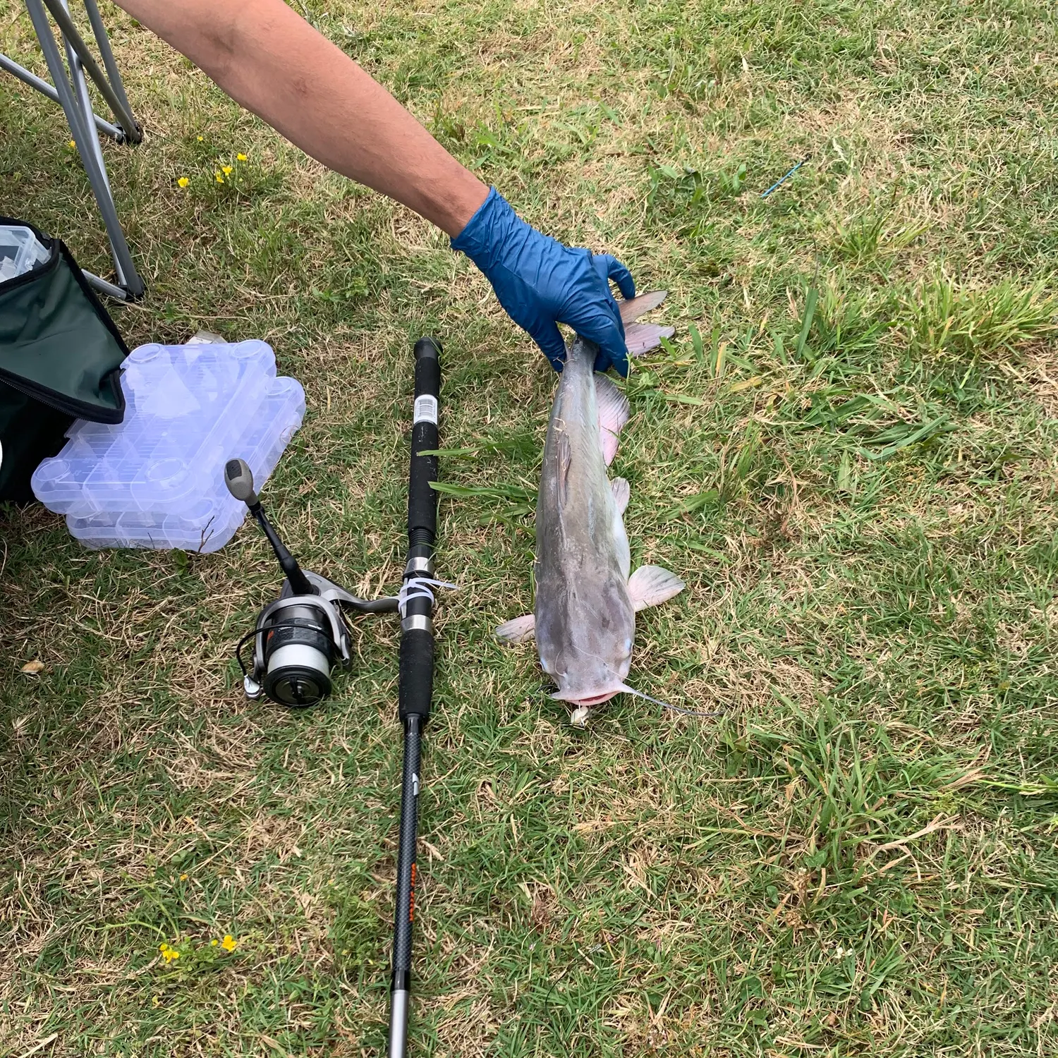 catch