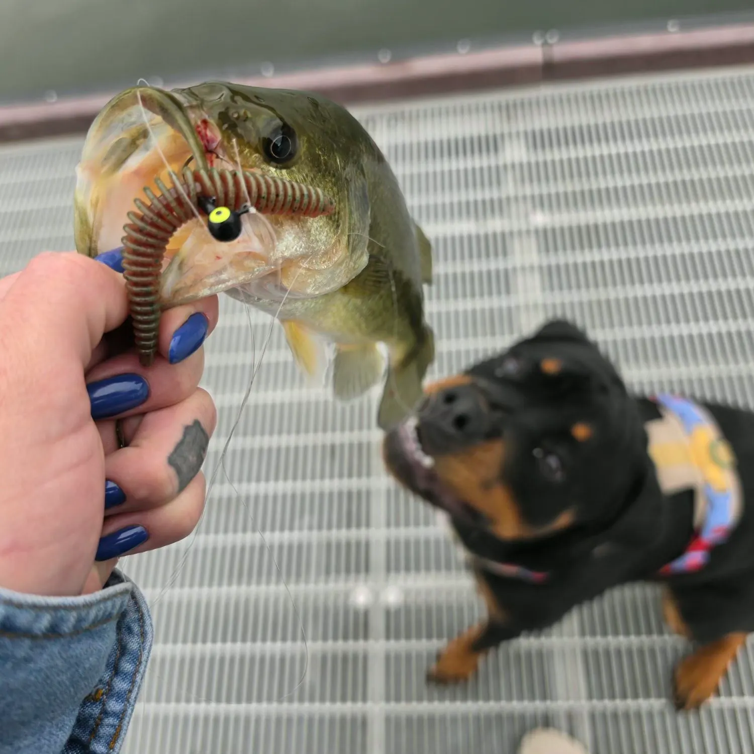 catch