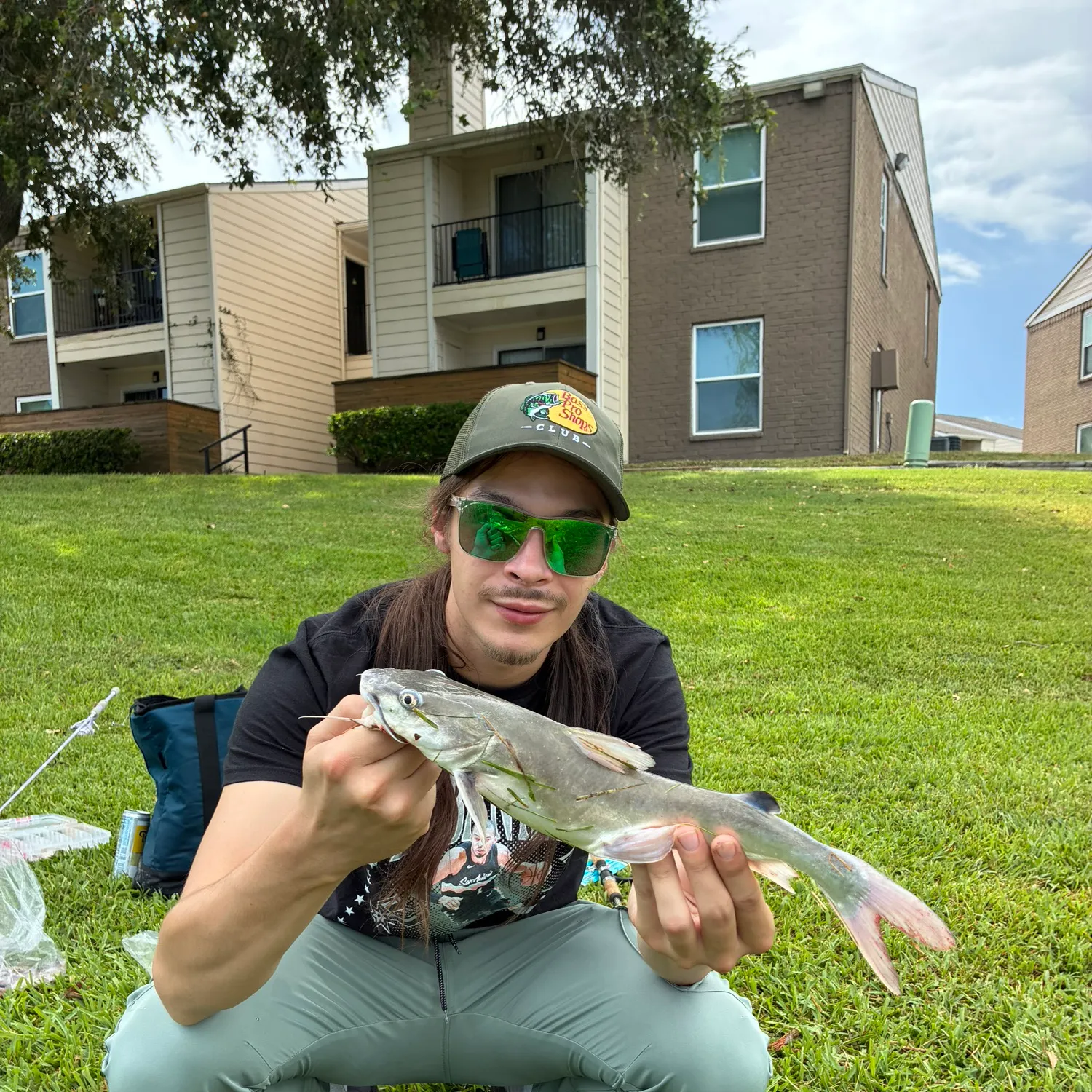 Hardhead sea catfish caught on Fishbrain