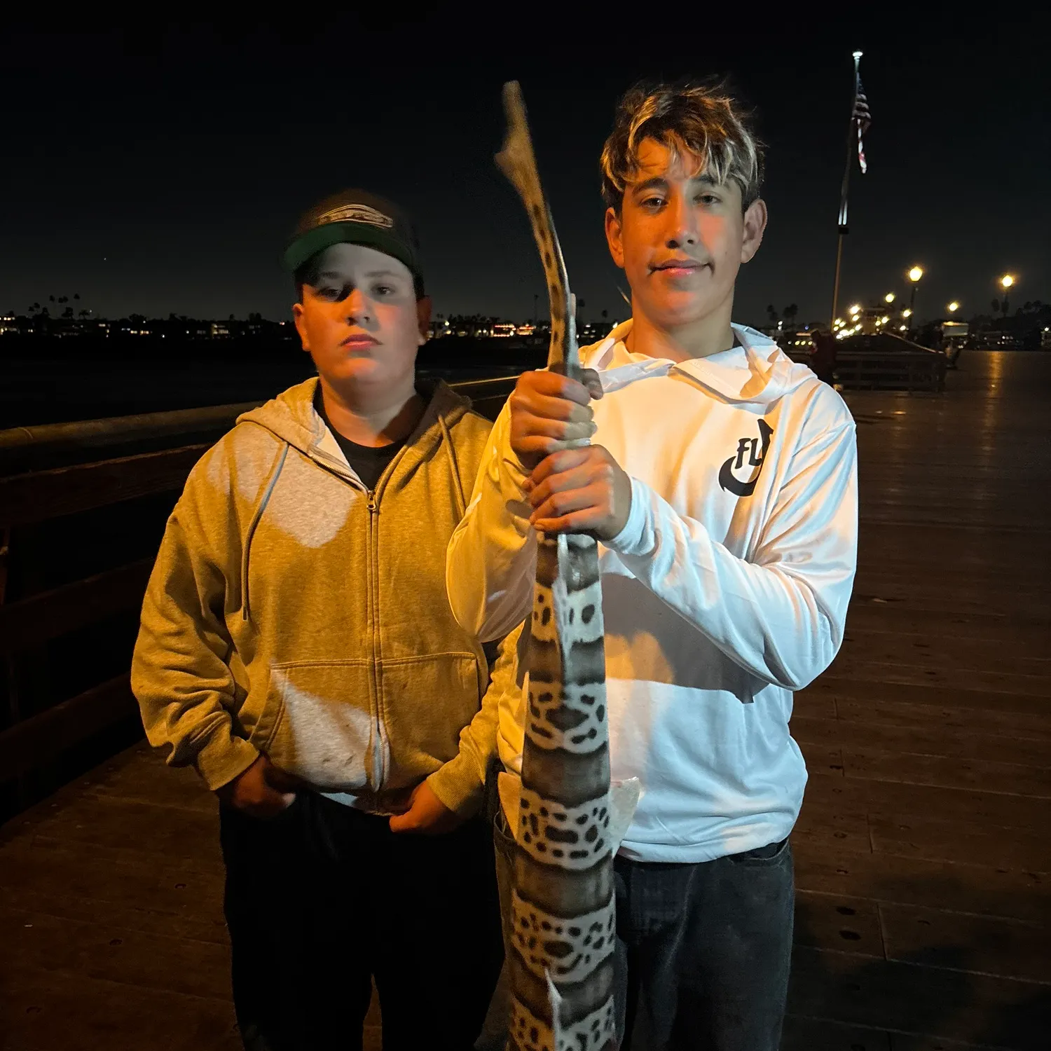 The most recent Zebra shark catches on Fishbrain