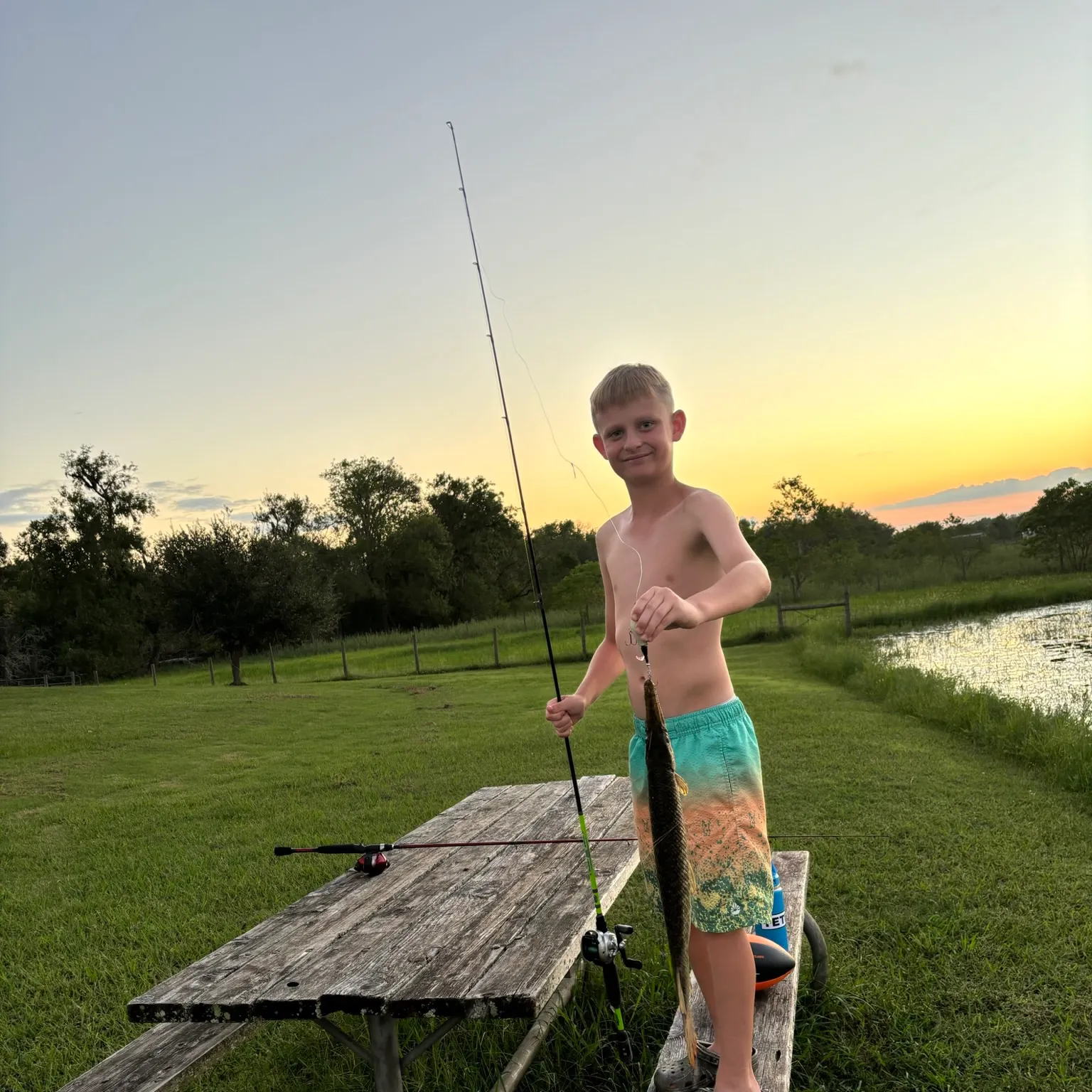 The most recent Spotted gar catches on Fishbrain