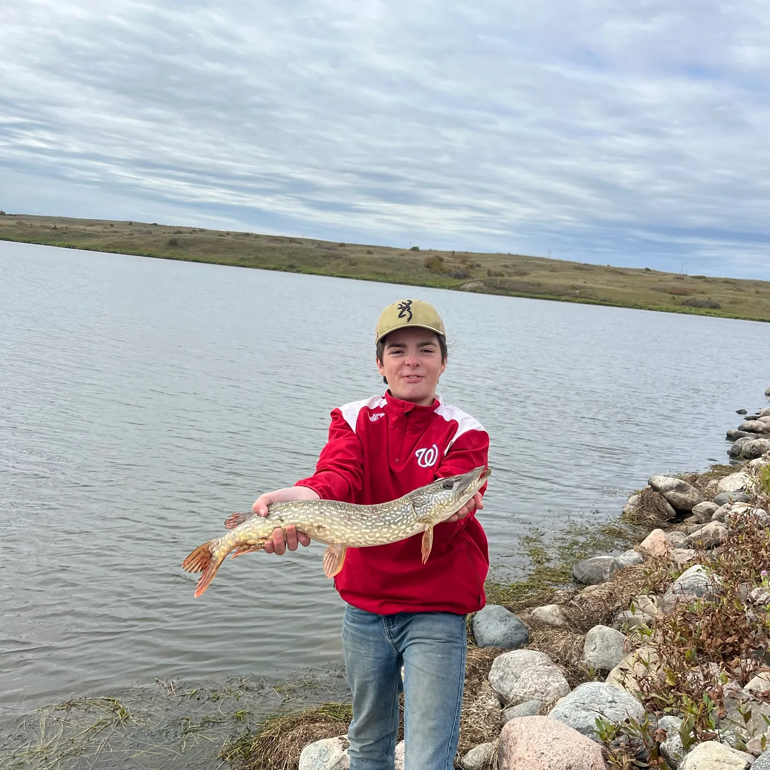 Northern pike caught on Fishbrain