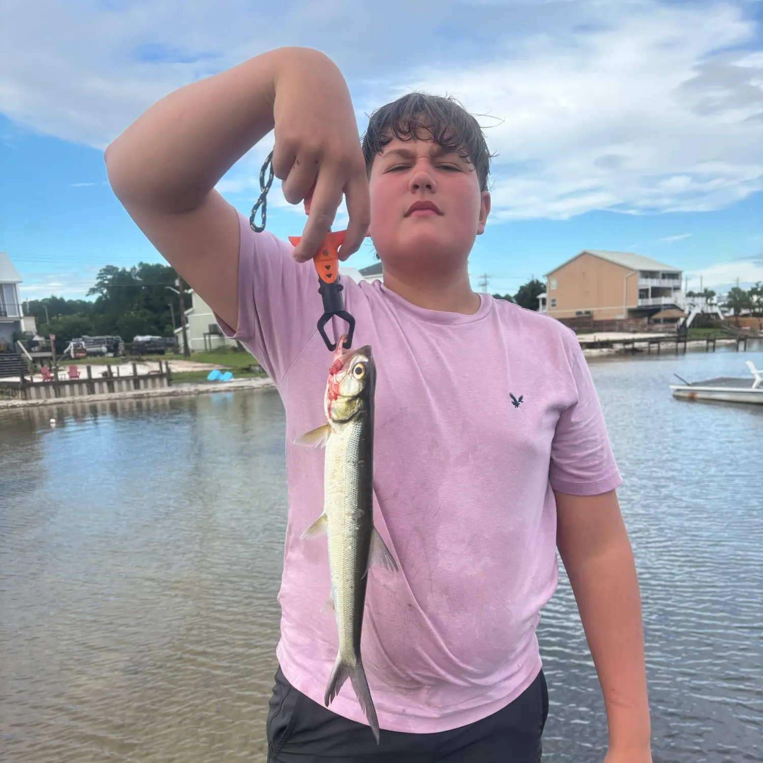 The most recent Ladyfish catches on Fishbrain