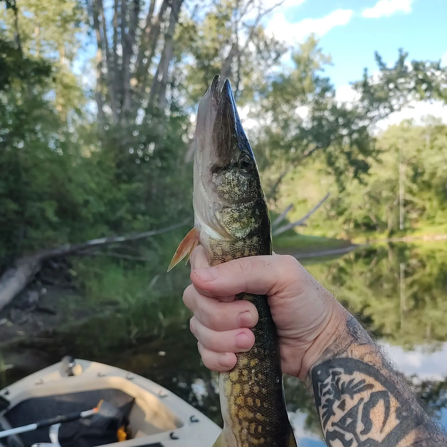 catch