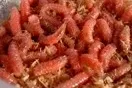 Larva