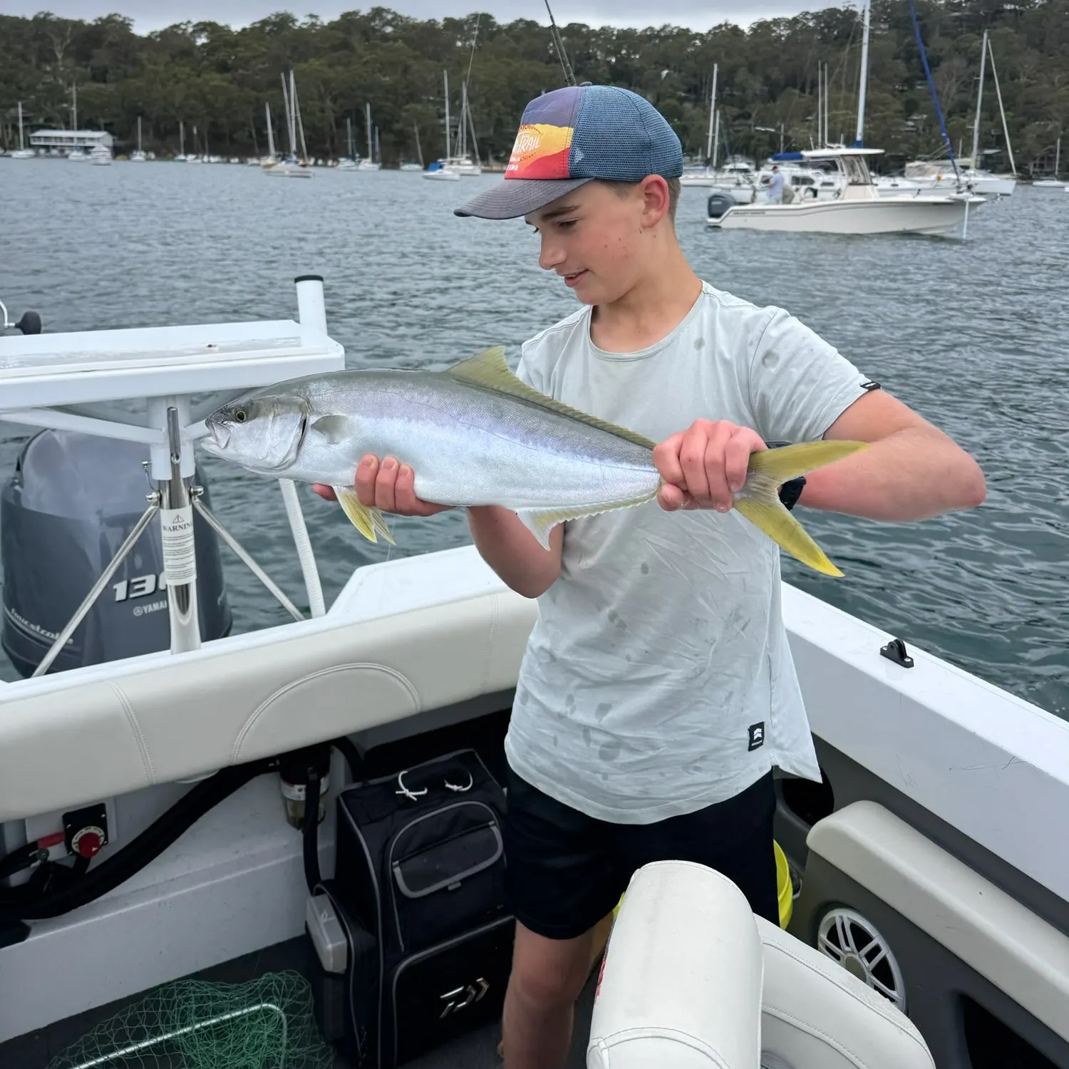 The most recent Southern yellowtail amberjack catches on Fishbrain