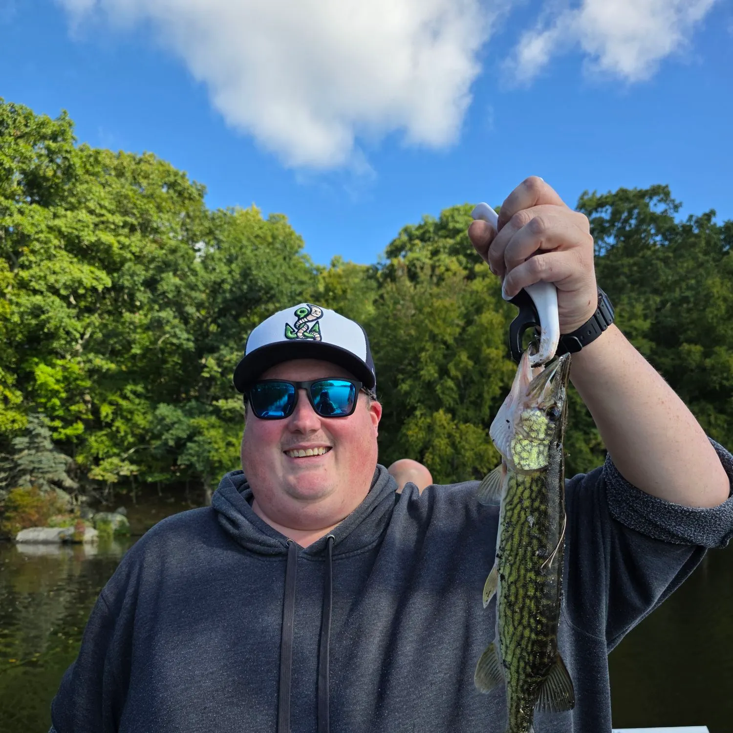Chain pickerel caught on Fishbrain