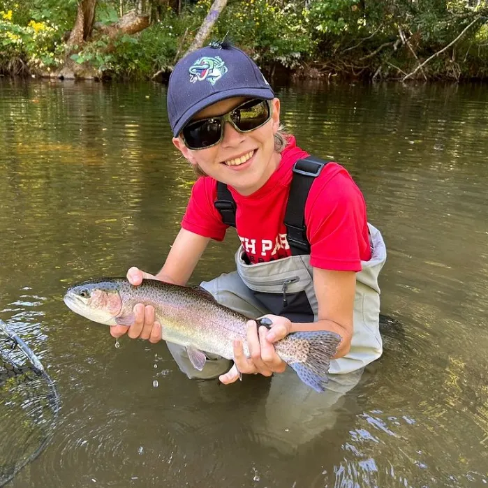 Rainbow trout caught on Fishbrain